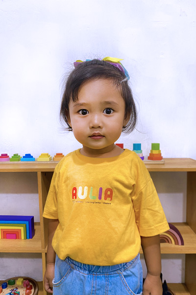 ppdb-aulia-preschool-2026-info-biaya-program-dan-pendaftaran